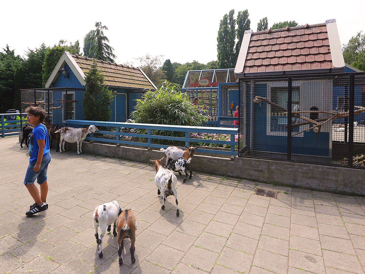 De bezoekersplaats van de Bokkesprong
