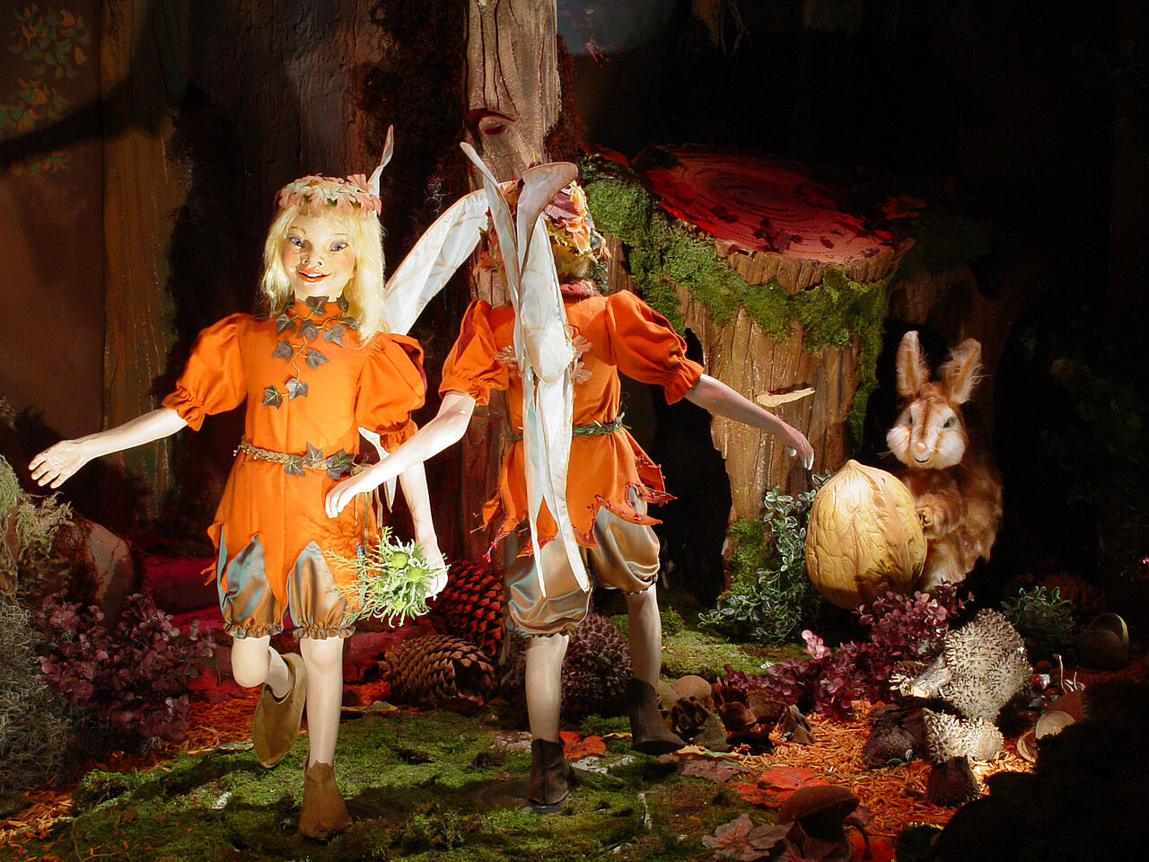 In de herfst dansen de elfjes door de blaadjes